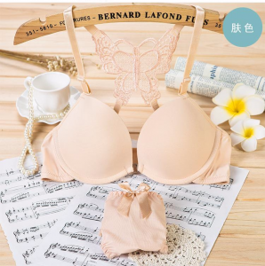 The New Beautiful Butterfly Bra Panty Set BB-02